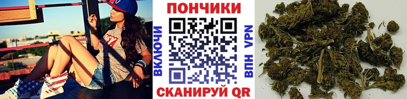 Купить наркоту Луховицы ГАШИШ  Каннабис  MDMA  Меф  APVP 