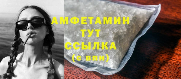 индика Осинники